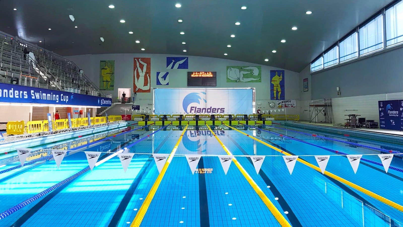 Bedelen hoofdzakelijk 鍔 Flanders Swimming Cup - Herva